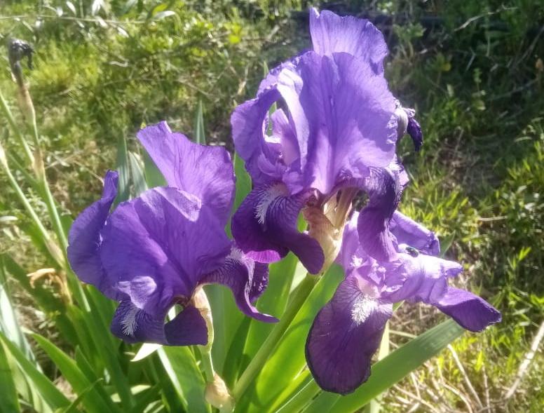 3 Bedroom Property for Sale in Oudtshoorn Rural Western Cape